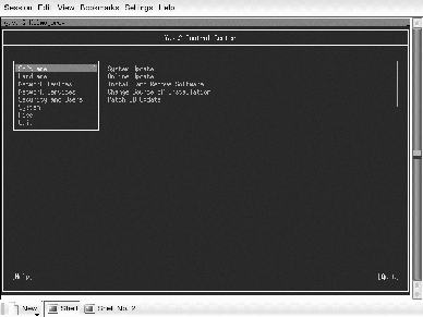 \includegraphics[width=.7\linewidth]{yast2_ncurses_main}